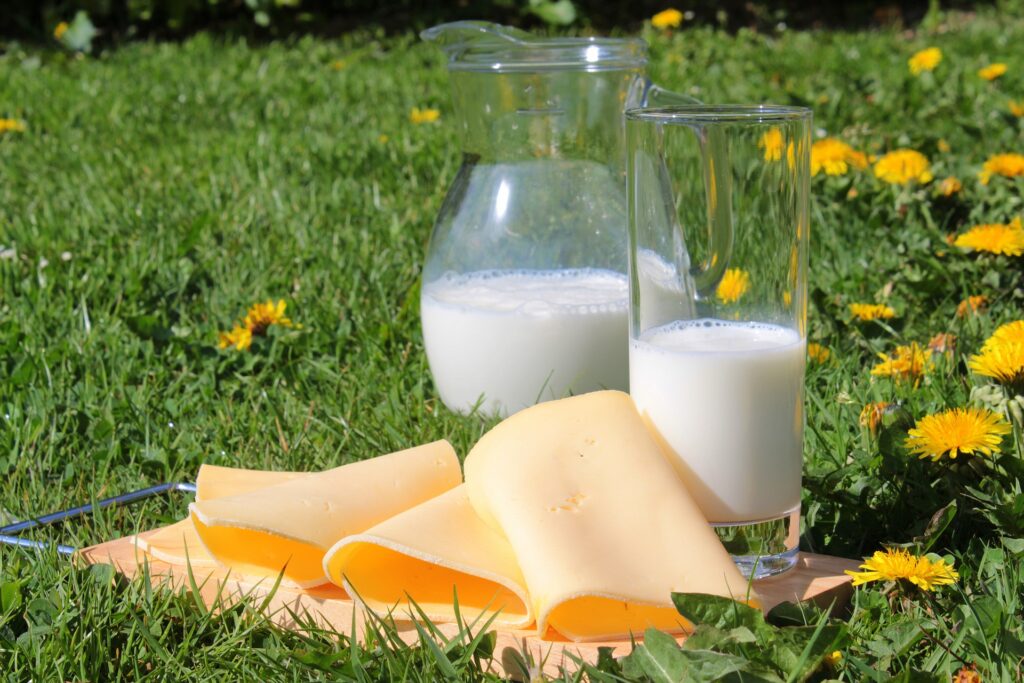milk-cheese-slice-field-australian-dairy-farmers