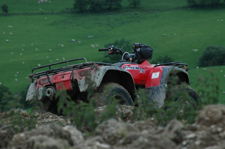 kiddies quad bikes for sale