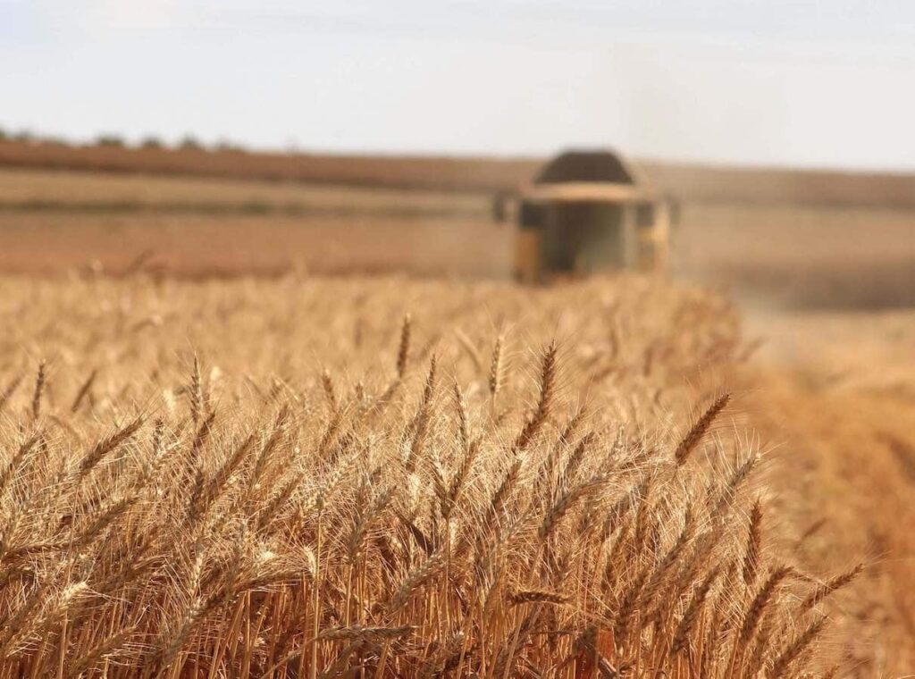 2021 Australian Grain Harvest