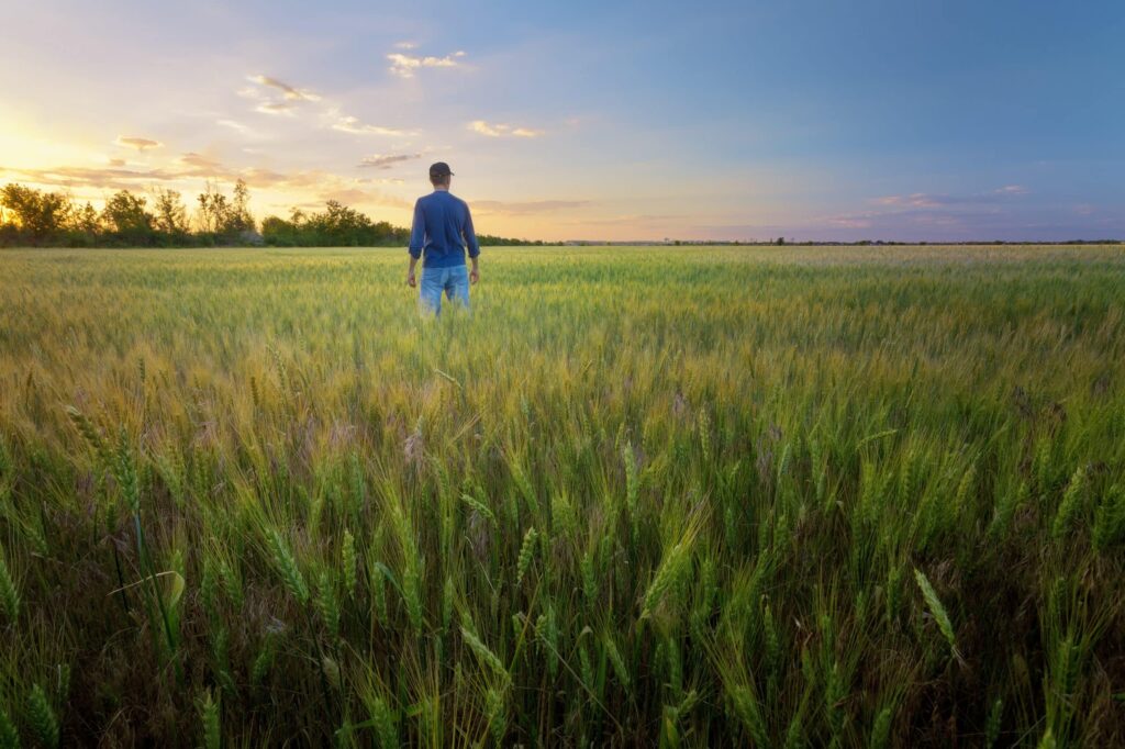 Farmer standing in wheat field in Ukraine