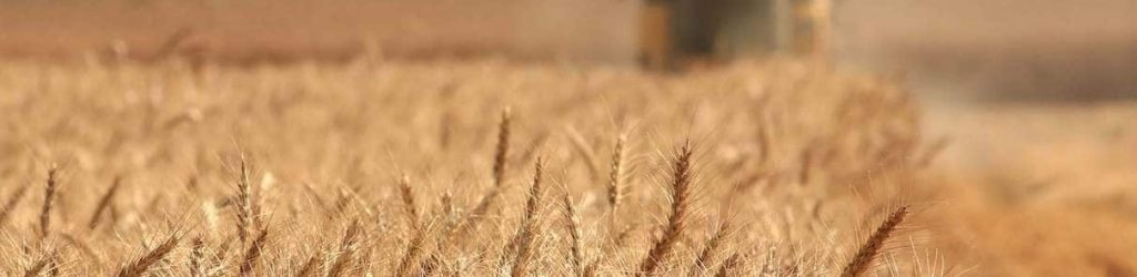 2021 Australian Grain Harvest