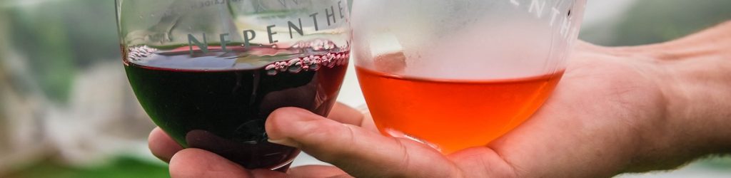 Adelaide Hills Region Grapes SA South Australia Trees Vineyard Wine Wine Glass Winery