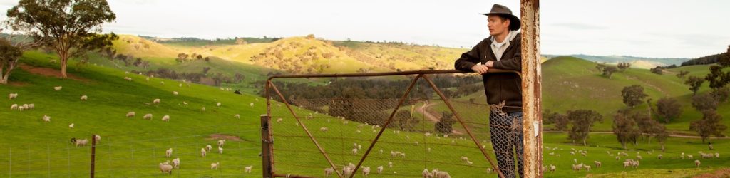 Aussie farmer looking out over a sheep paddock