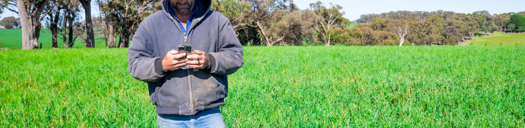 Crop Green Hats New South Wales NSW Oats People People Not Looking at the Camera Phone Spring Technology Trees