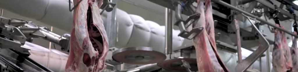 automated-lamb-processing-plant-video