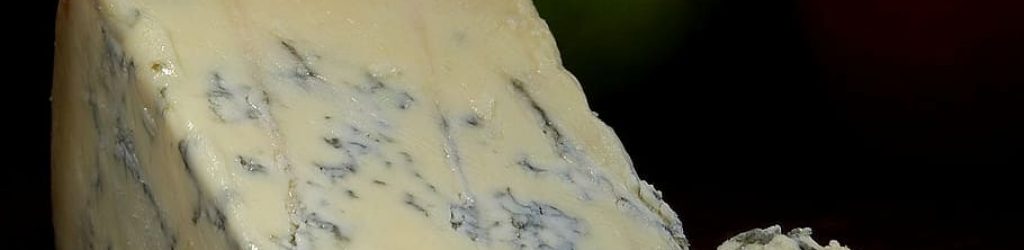 stilton-blue-cheese-blue-mold-mold-noble-mold-cheese-milk-product